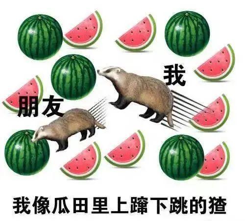 上窜下跳吃瓜,吃瓜群众见证娱乐圈风云变幻