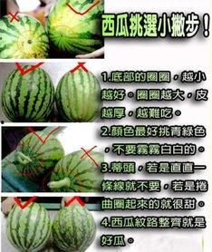 西沙瓜怎么切块吃,夏日清凉解渴的完美选择