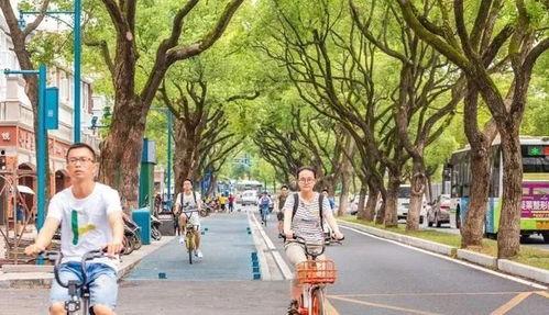 长沙吃瓜公园,揭秘城市中的休闲新地标