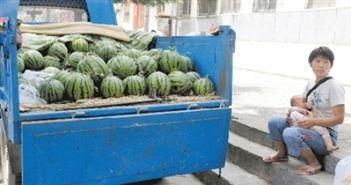 宝贝买瓜回家吃