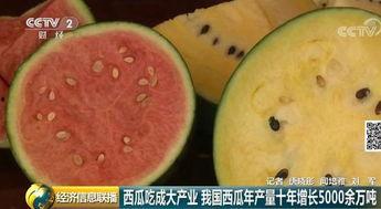 我国吃瓜,揭秘我国吃瓜文化的演变与魅力