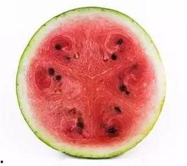 科学吃瓜法,健康美味两不误的夏日饮食新风尚