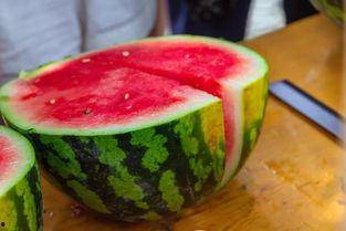 东北某大学吃瓜,吃瓜群众纷纷围观！”