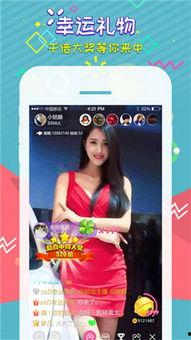 杭州吃瓜小组直播,揭秘网红美食背后的故事