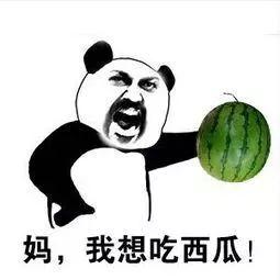 吃瓜的那些日子,吃瓜群众视角下的娱乐圈风云录