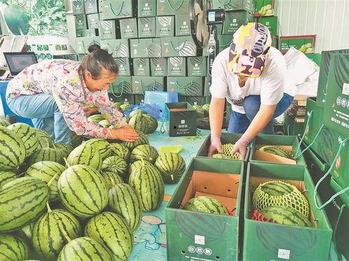 汾阳吃瓜事件近日,一场网络热议背后的真相与反思