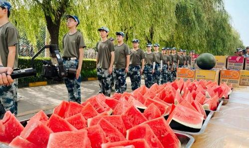 河职学校吃瓜,揭秘校园美食背后的故事