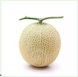 吃瓜群众切片,揭秘娱乐圈幕后故事