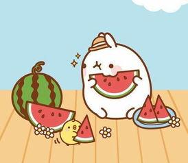 今天吃瓜不长胖,健康享瘦——揭秘不长胖的秘密