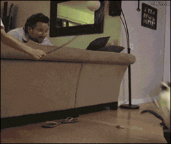 吃瓜gif搞笑,吃瓜gif里的欢乐瞬间