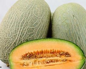 吃哈密瓜吗,哈密瓜的甜蜜诱惑