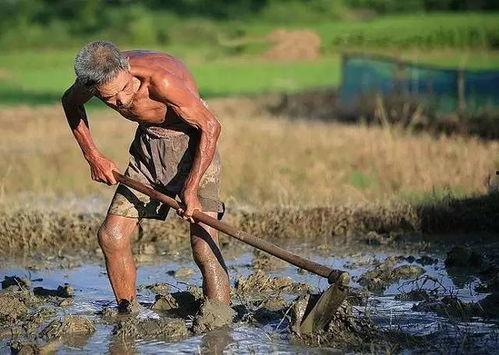 农民工吃瓜配图片大全